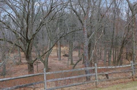 16 Devore Rd, Flemington, NJ 08822 photo 23