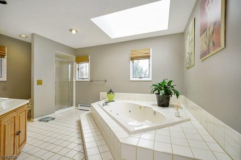 3 Ballantine Rd, Mendham, NJ 07945 photo 18