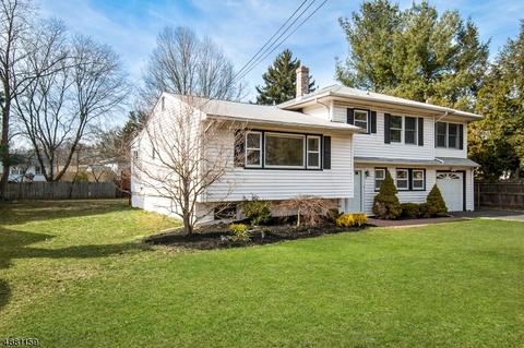 6 Sycamore Ter, Springfield, NJ 07081 photo 24