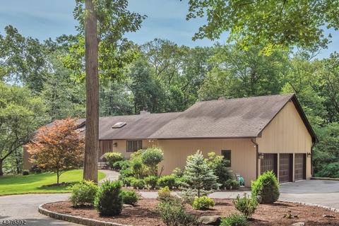 7 N Gate Rd, Mendham, NJ 07945 photo 24