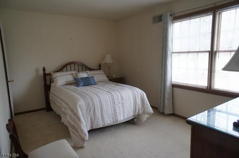 4 Peter Dr, Hackettstown, NJ 07840 photo 22