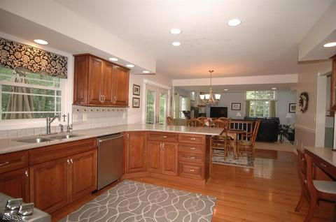 4 Peter Dr, Hackettstown, NJ 07840 photo 12