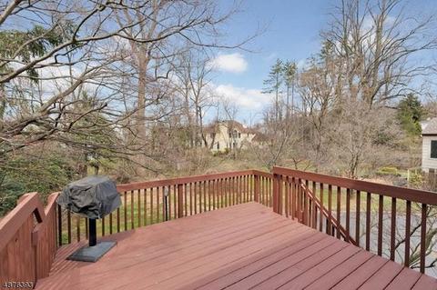 107 Beekman Rd, Summit, NJ 07901 photo 21