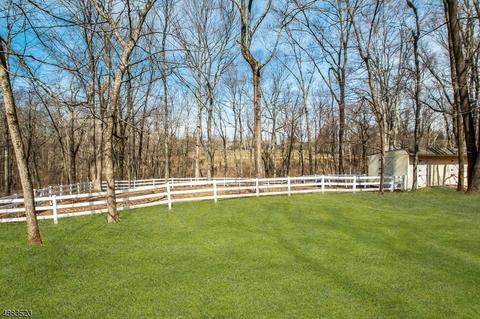 9 Townsend Rd, Mendham, NJ 07945 photo 24