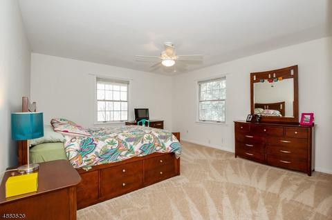 9 Townsend Rd, Mendham, NJ 07945 photo 19