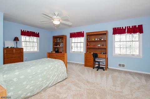 9 Townsend Rd, Mendham, NJ 07945 photo 18