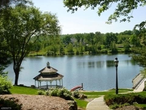 21 Kingsbrook Ct, Mendham, NJ 07945 photo 24