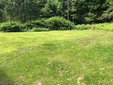 11 Ironia Rd, Mendham, NJ 07945 photo 25