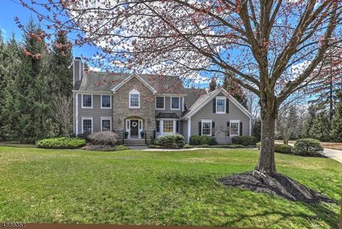 4 Mahlon Ct, Mendham, NJ 07945 photo 1