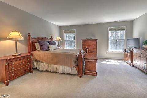 4 Mahlon Ct, Mendham, NJ 07945 photo 17
