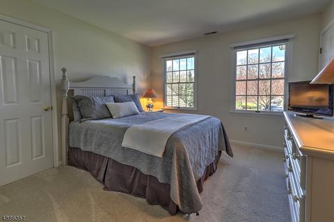 4 Mahlon Ct, Mendham, NJ 07945 photo 22