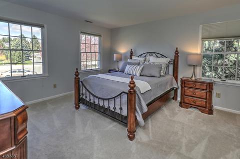 4 Mahlon Ct, Mendham, NJ 07945 photo 20