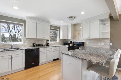 4 Young Dr, Stanhope, NJ 07874 photo 1