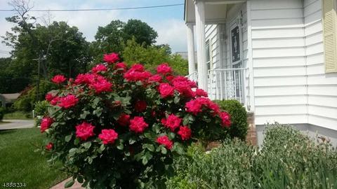 121 Jackson Ave, Wayne, NJ 07470 photo 3