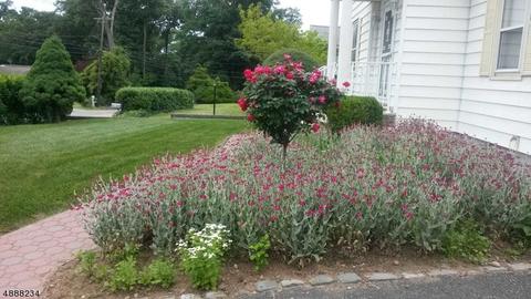 121 Jackson Ave, Wayne, NJ 07470 photo 2