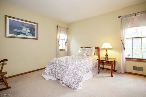 5 Summit Trl, Flemington, NJ 08822 photo 13