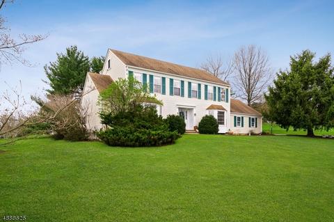 5 Summit Trl, Flemington, NJ 08822 photo 18