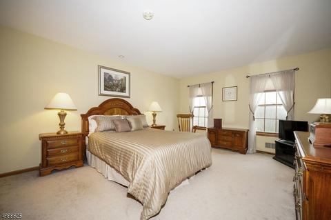 5 Summit Trl, Flemington, NJ 08822 photo 10