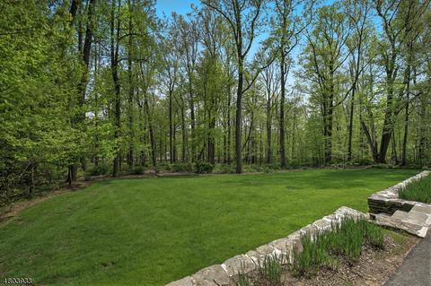 68 Mountainside Rd, Mendham, NJ 07945 photo 21