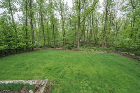 68 Mountainside Rd, Mendham, NJ 07945 photo 22