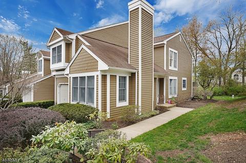 35 Stone Run Rd, Bedminster, NJ 07921 photo 1