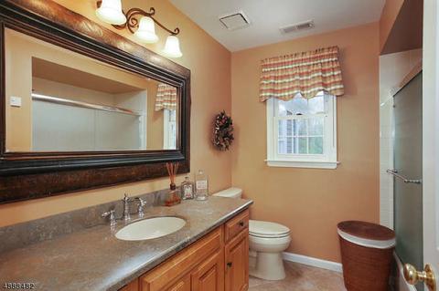 61 Walsingham Rd, Mendham, NJ 07945 photo 21
