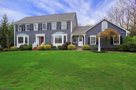 61 Walsingham Rd, Mendham, NJ 07945 photo 1