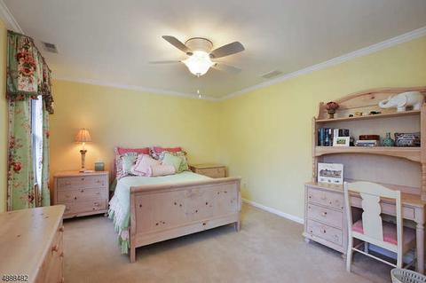 61 Walsingham Rd, Mendham, NJ 07945 photo 22