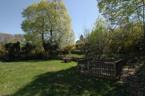 10 Pine St, Dover, NJ 07801 photo 17