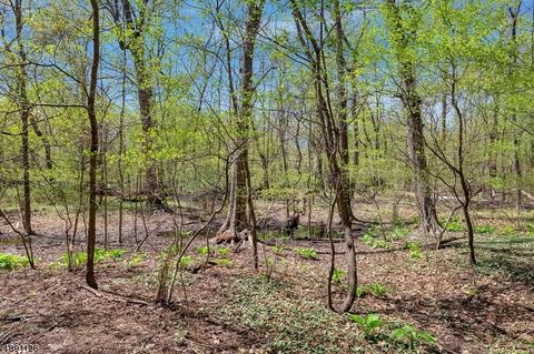 731 Paramus Rd, Paramus, NJ 07652 photo 11