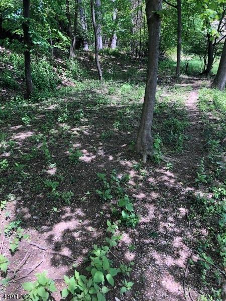 57 Brandon Ave, Wayne, NJ 07470 photo 25
