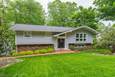 64 Forrest Rd, Randolph, NJ 07869 photo 1
