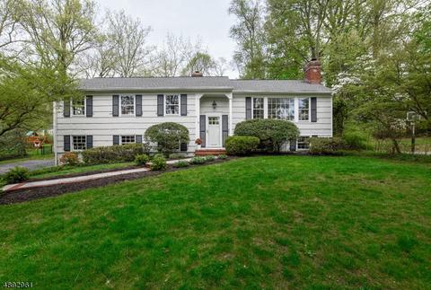 14 Dale Dr, Summit, NJ 07901 photo 1