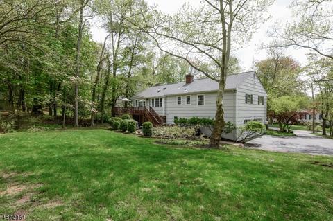 14 Dale Dr, Summit, NJ 07901 photo 20
