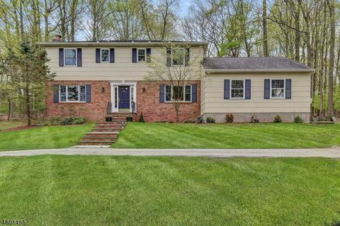 17 Cromwell Dr, Mendham, NJ 07945 photo 1