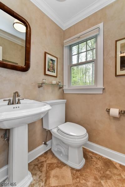 17 Cromwell Dr, Mendham, NJ 07945 photo 14