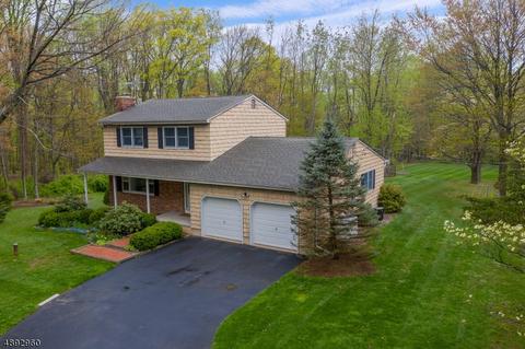 527 County Route 579, Hampton, NJ 08827 photo 1