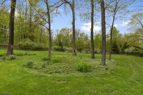 21 Robin Rd, Warren, NJ 07059 photo 23