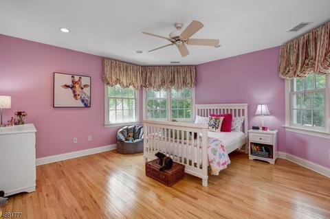 29 Crestview Ave, Madison, NJ 07940 photo 19