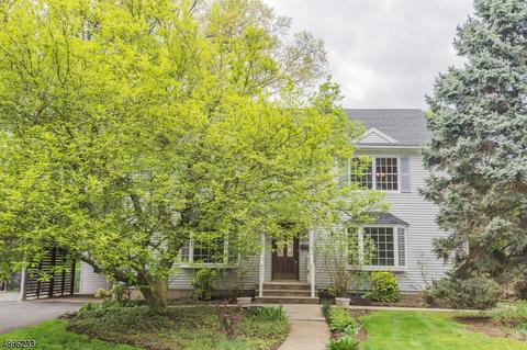 311 11th St, Cresskill, NJ 07626 photo 1