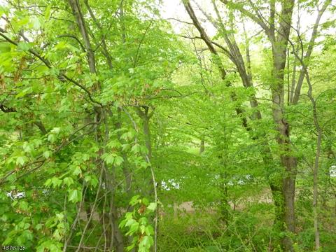 17 Nelson Pl, Nutley, NJ 07110 photo 5