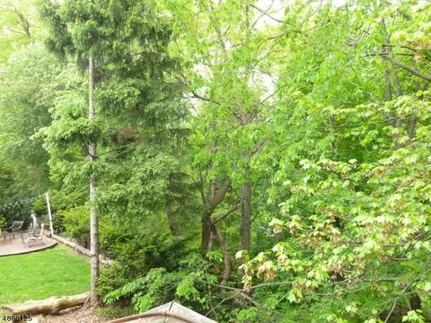 17 Nelson Pl, Nutley, NJ 07110 photo 6