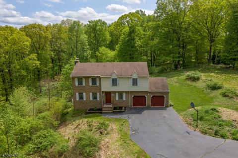 583 County Route 579, Hampton, NJ 08827 photo 2