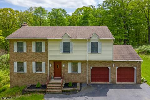 583 County Route 579, Hampton, NJ 08827 photo 1