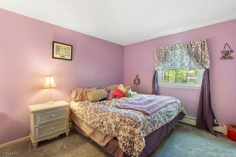 29 Springhill Rd, Randolph, NJ 07869 photo 13