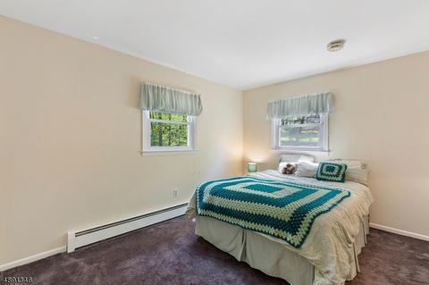 29 Springhill Rd, Randolph, NJ 07869 photo 14