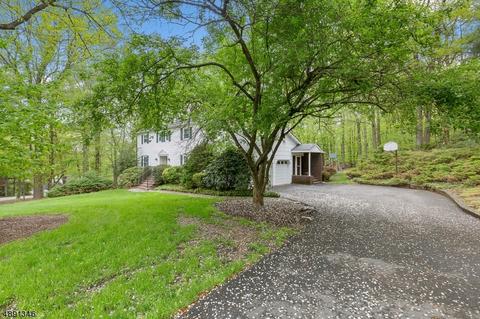 29 Springhill Rd, Randolph, NJ 07869 photo 3