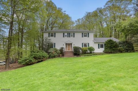 29 Springhill Rd, Randolph, NJ 07869 photo 2