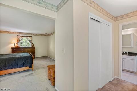 29 Springhill Rd, Randolph, NJ 07869 photo 11