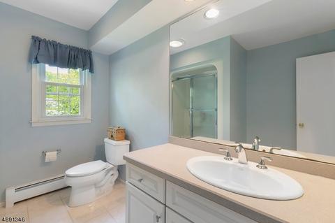 29 Springhill Rd, Randolph, NJ 07869 photo 16
